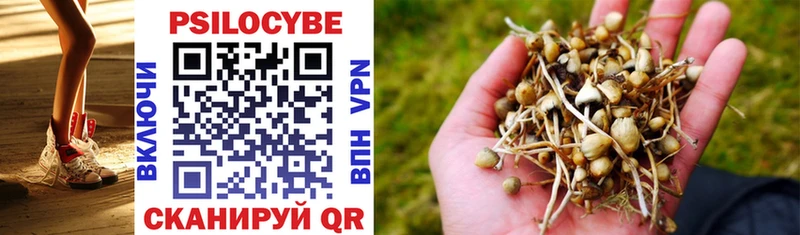 Галлюциногенные грибы Psilocybe  Сорочинск 
