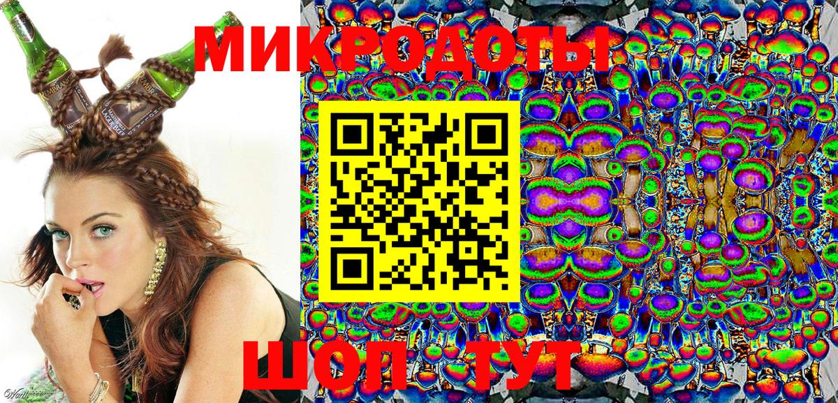 Галлюциногенные грибы Psilocybine cubensis Сорочинск