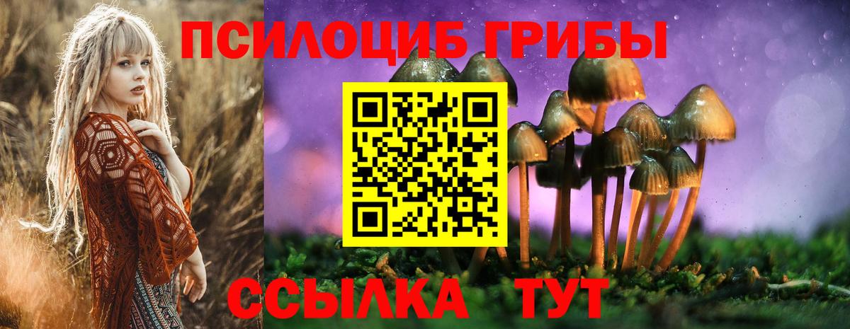 Сорочинск  Галлюциногенные грибы мицелий  Вход с VPN 